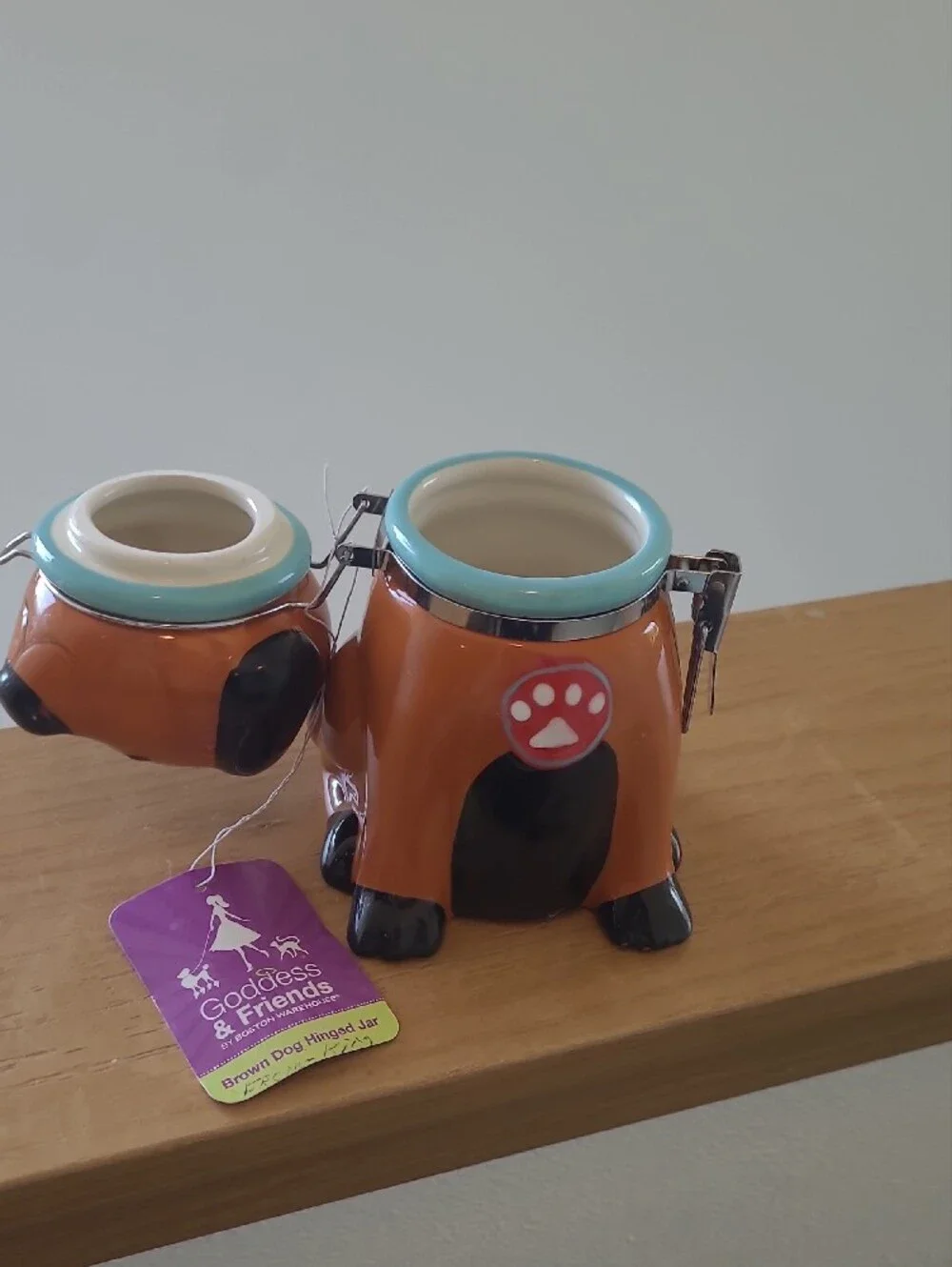 Boston Warehouse Brown Dog Treat Jar with Aqua Collar